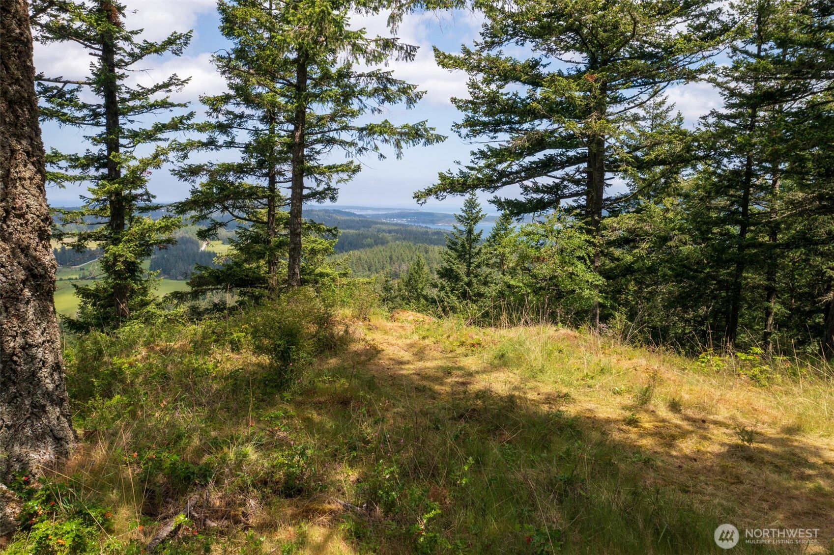 1700 Mountain Crest Property Photo 9