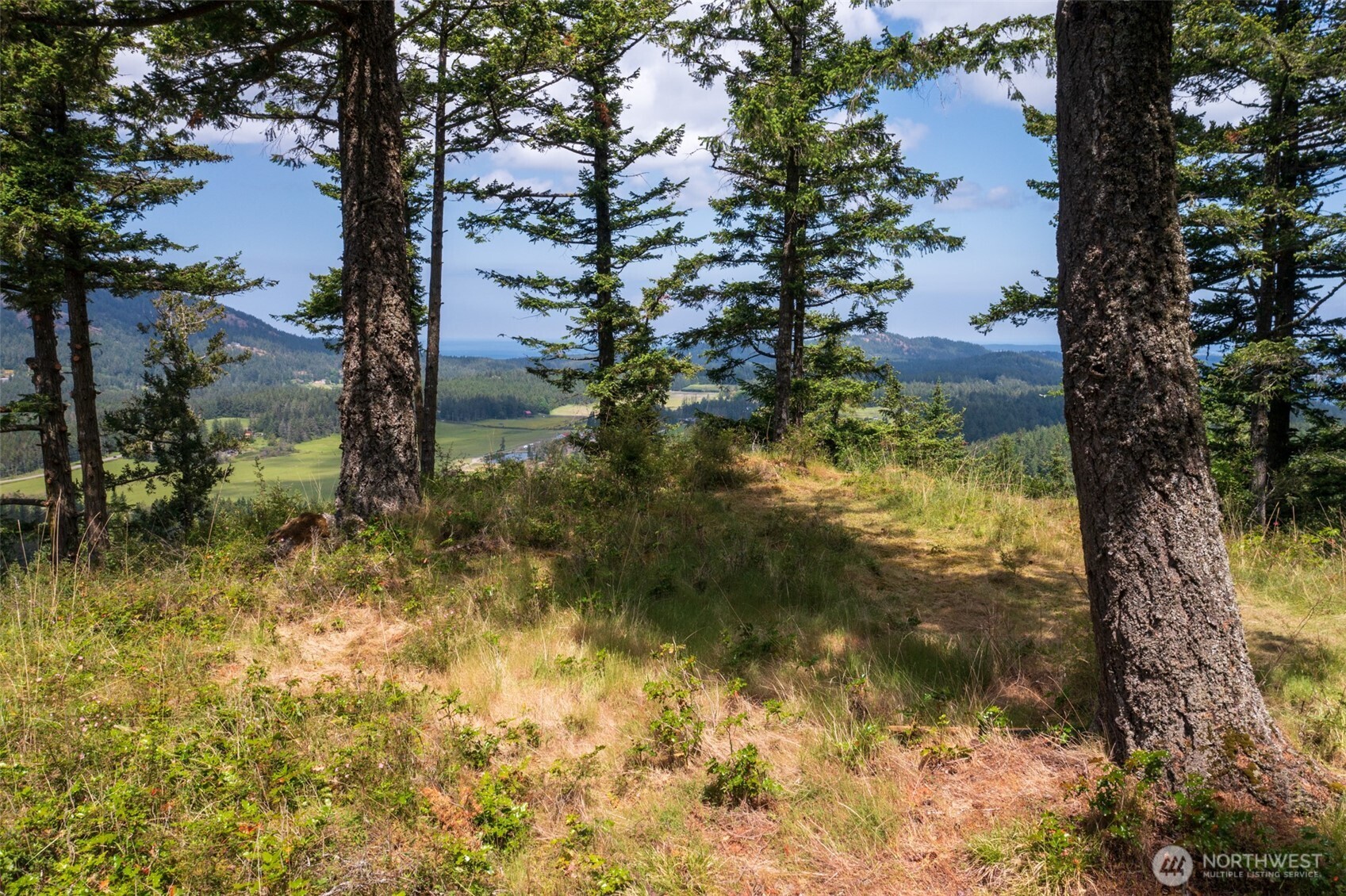 1700 Mountain Crest Property Photo 10