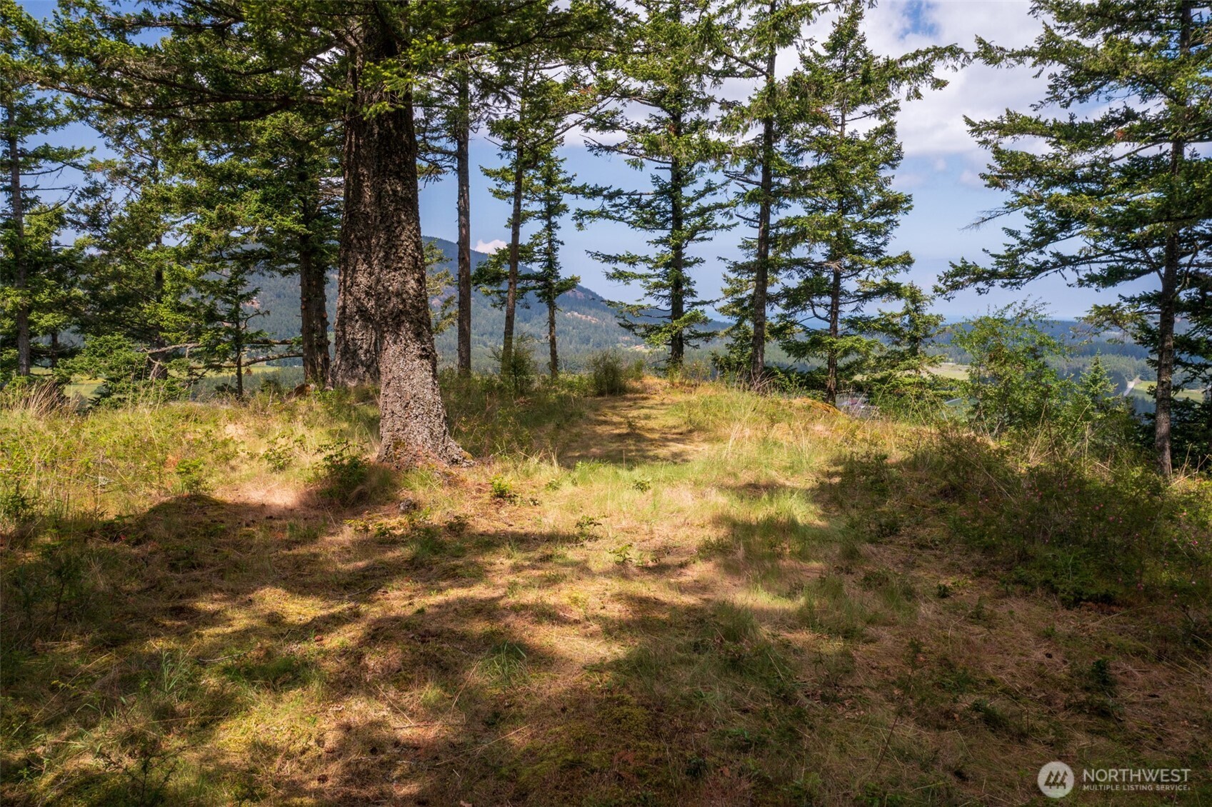 1700 Mountain Crest Property Photo 11