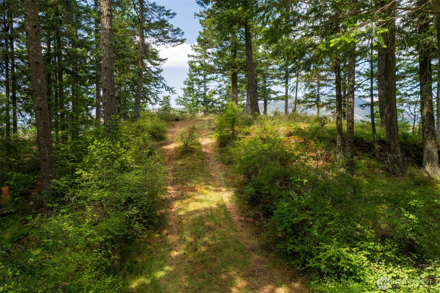 1700 Mountain Crest Property Photo 14