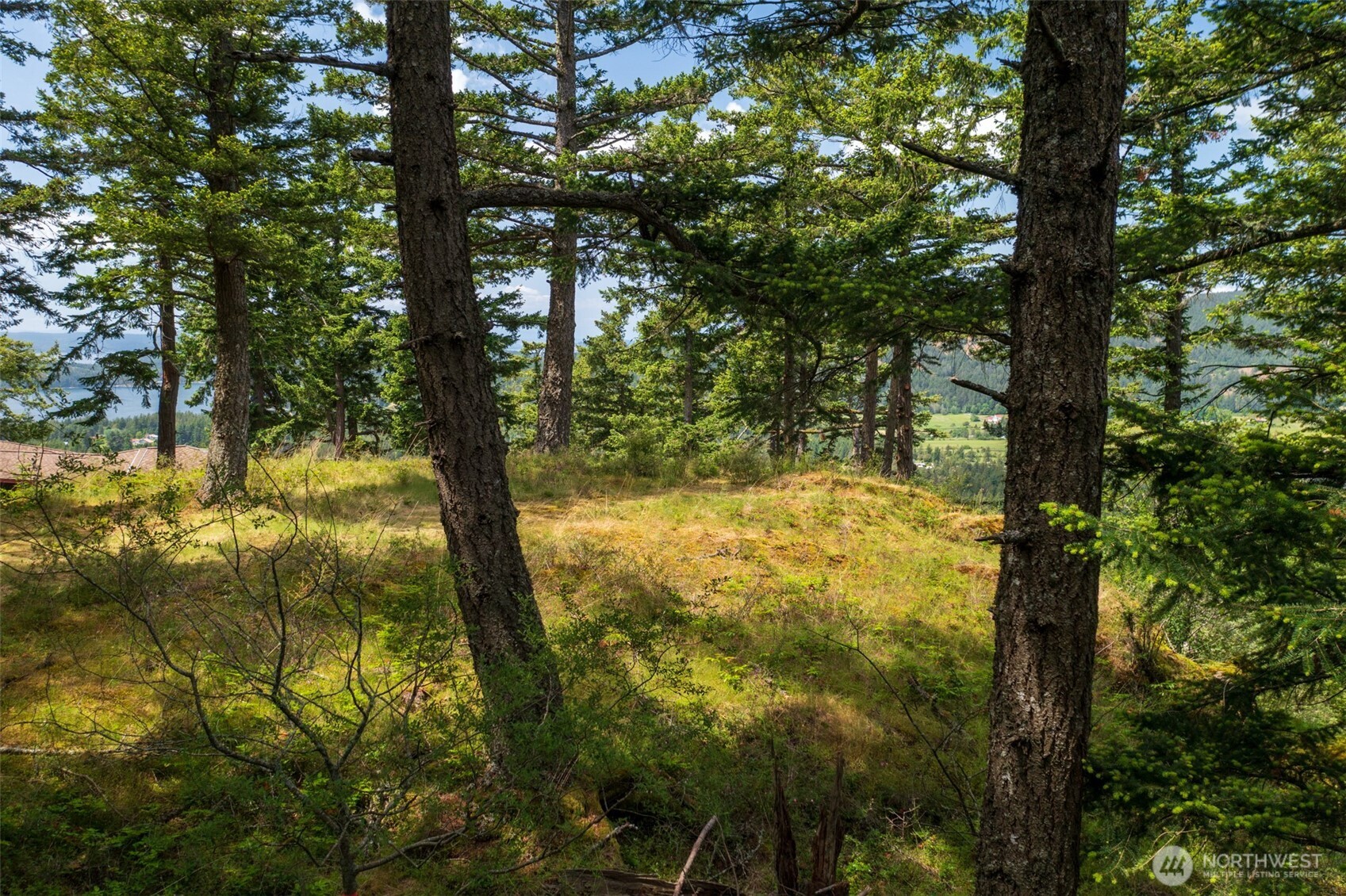 1700 Mountain Crest Property Photo 15
