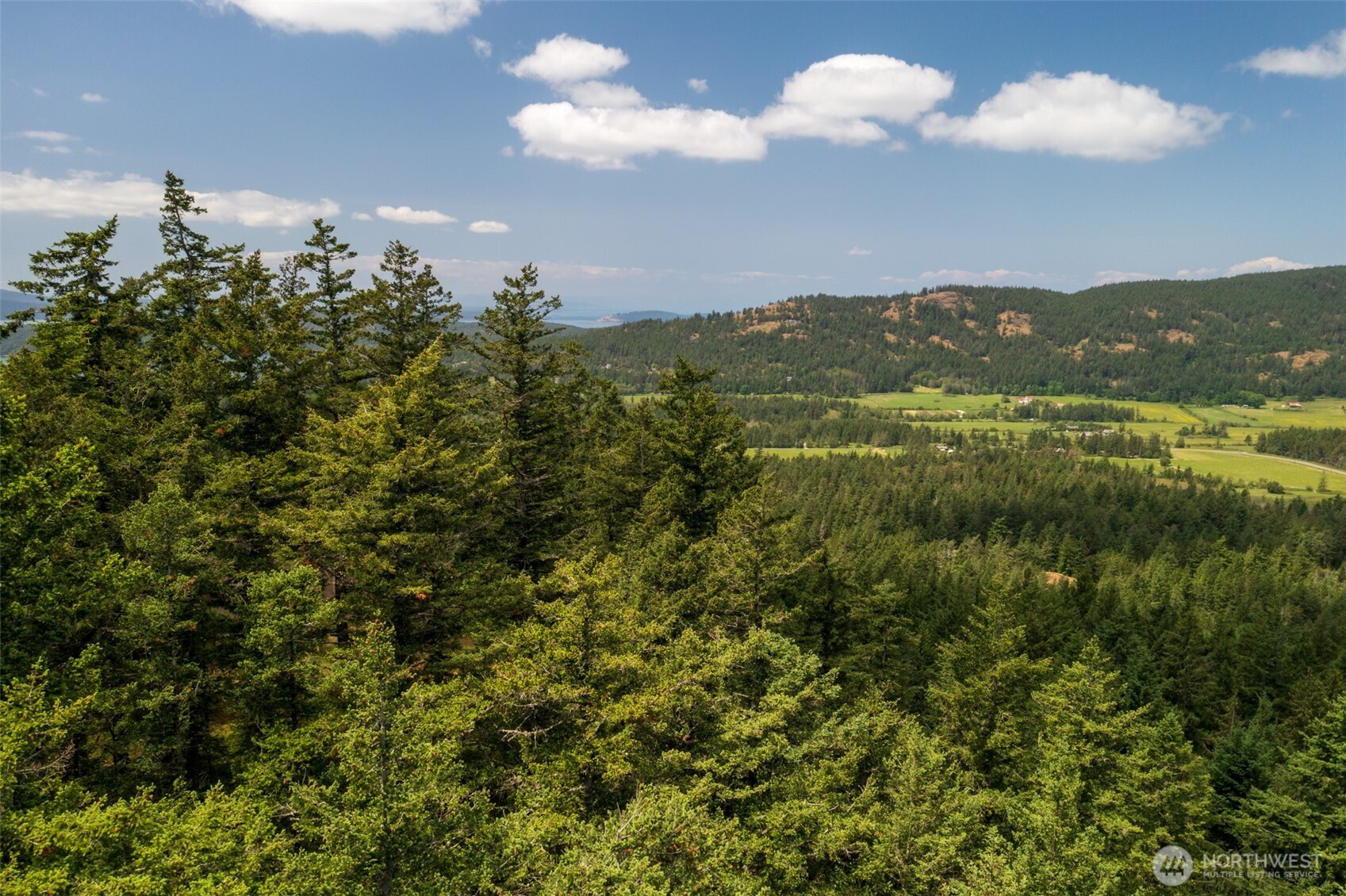1700 Mountain Crest Property Photo 18