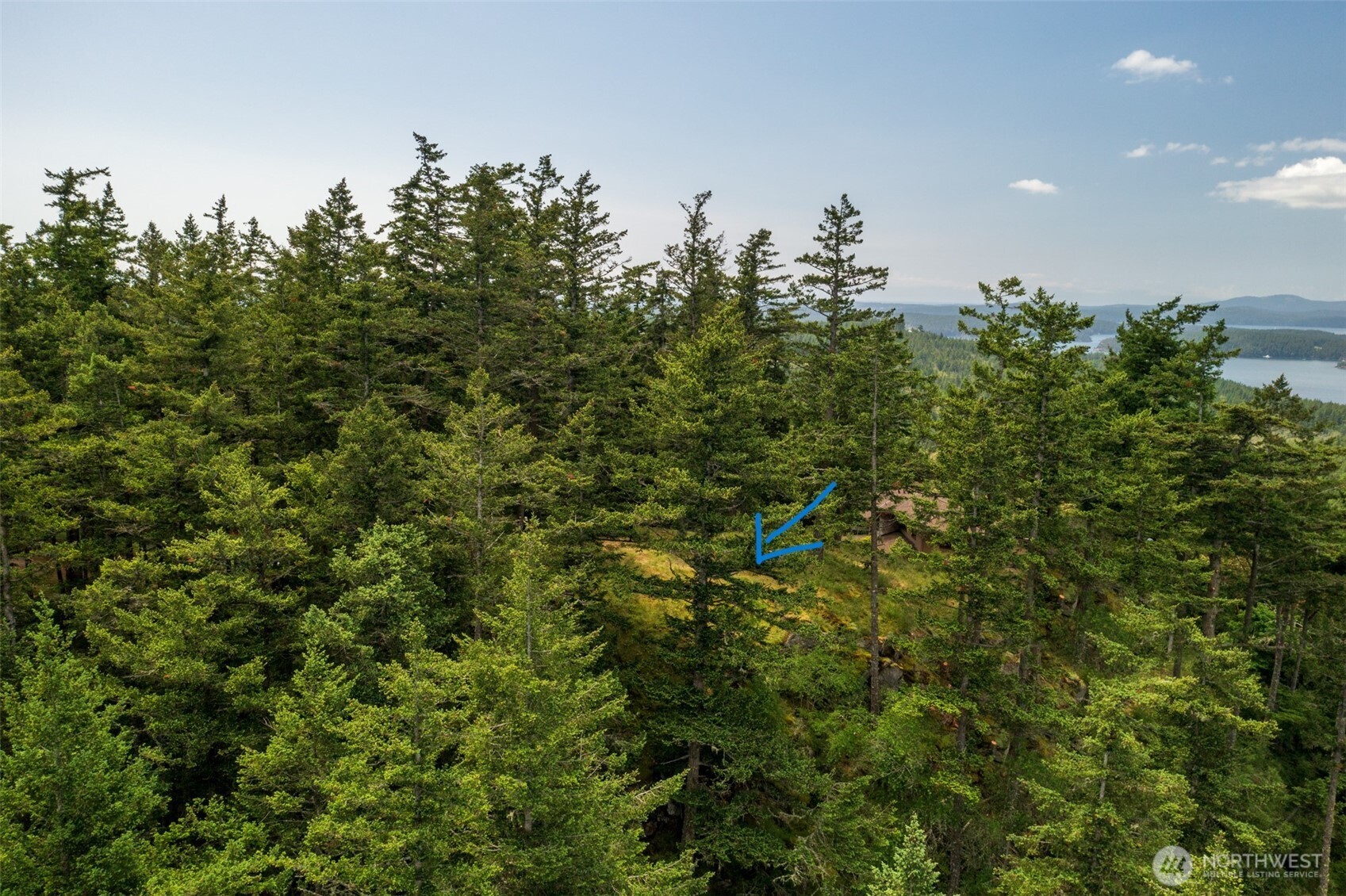 1700 Mountain Crest Property Photo 22