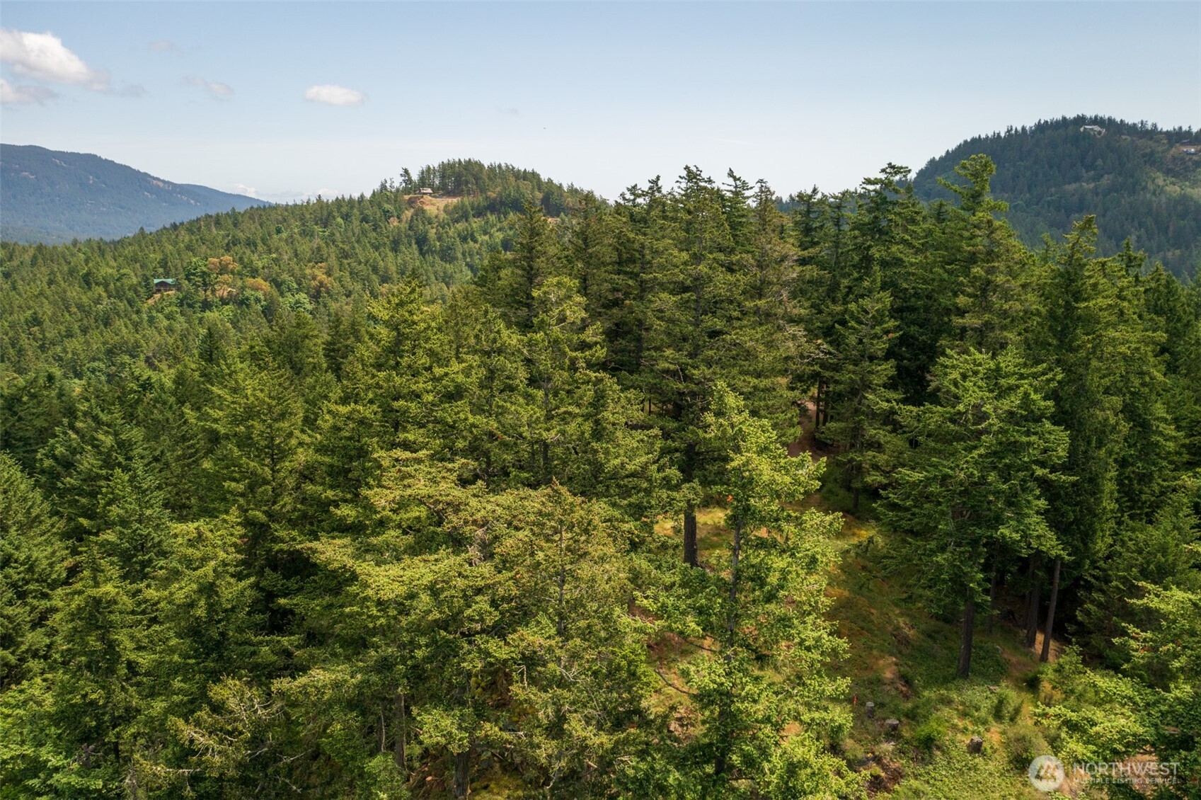 1700 Mountain Crest Property Photo 23