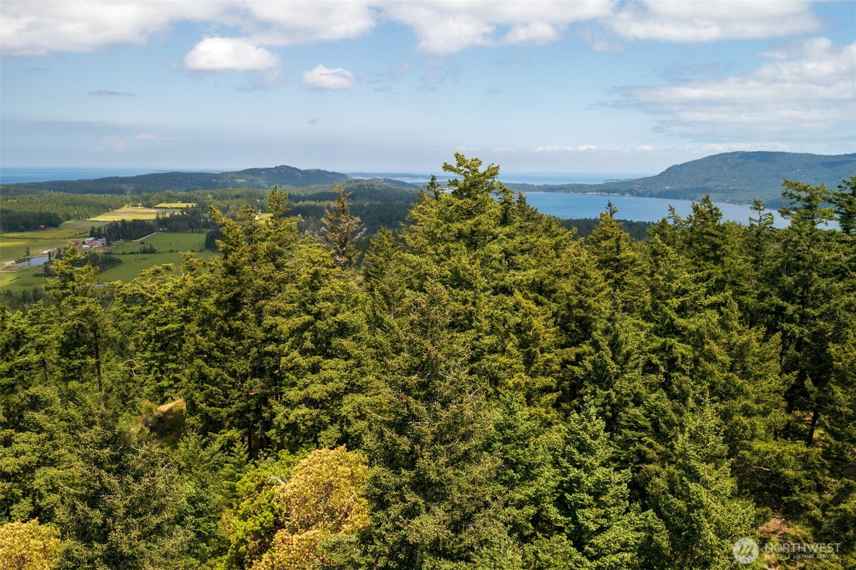 1700 Mountain Crest Property Photo 27