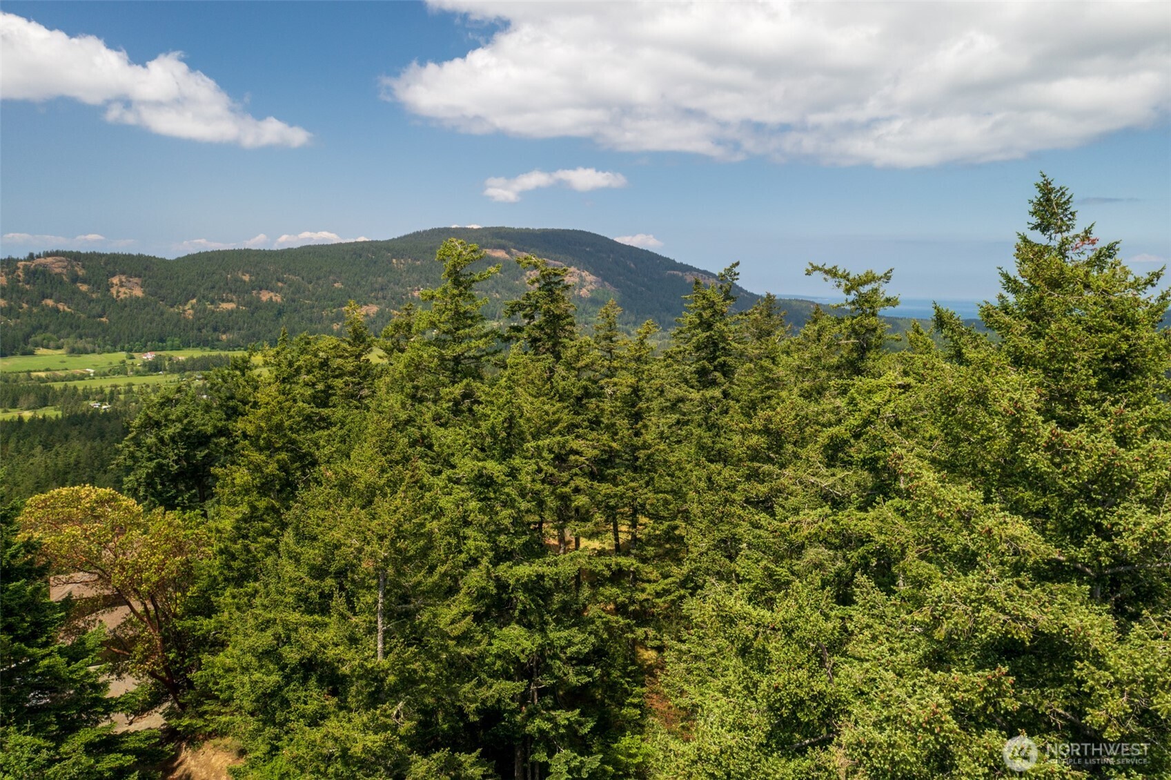 1700 Mountain Crest Property Photo 28