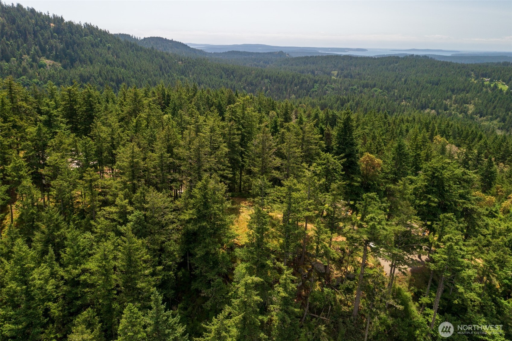 1700 Mountain Crest Property Photo 33