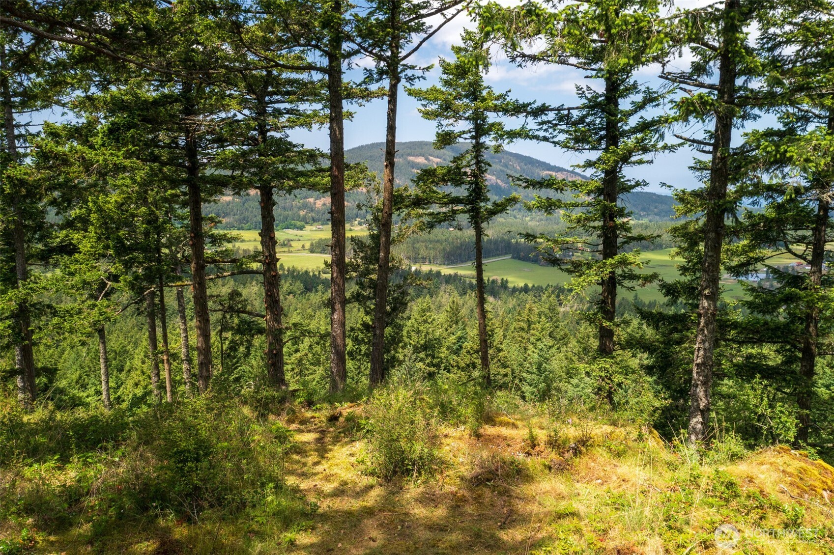 1700 Mountain Crest Property Photo 34