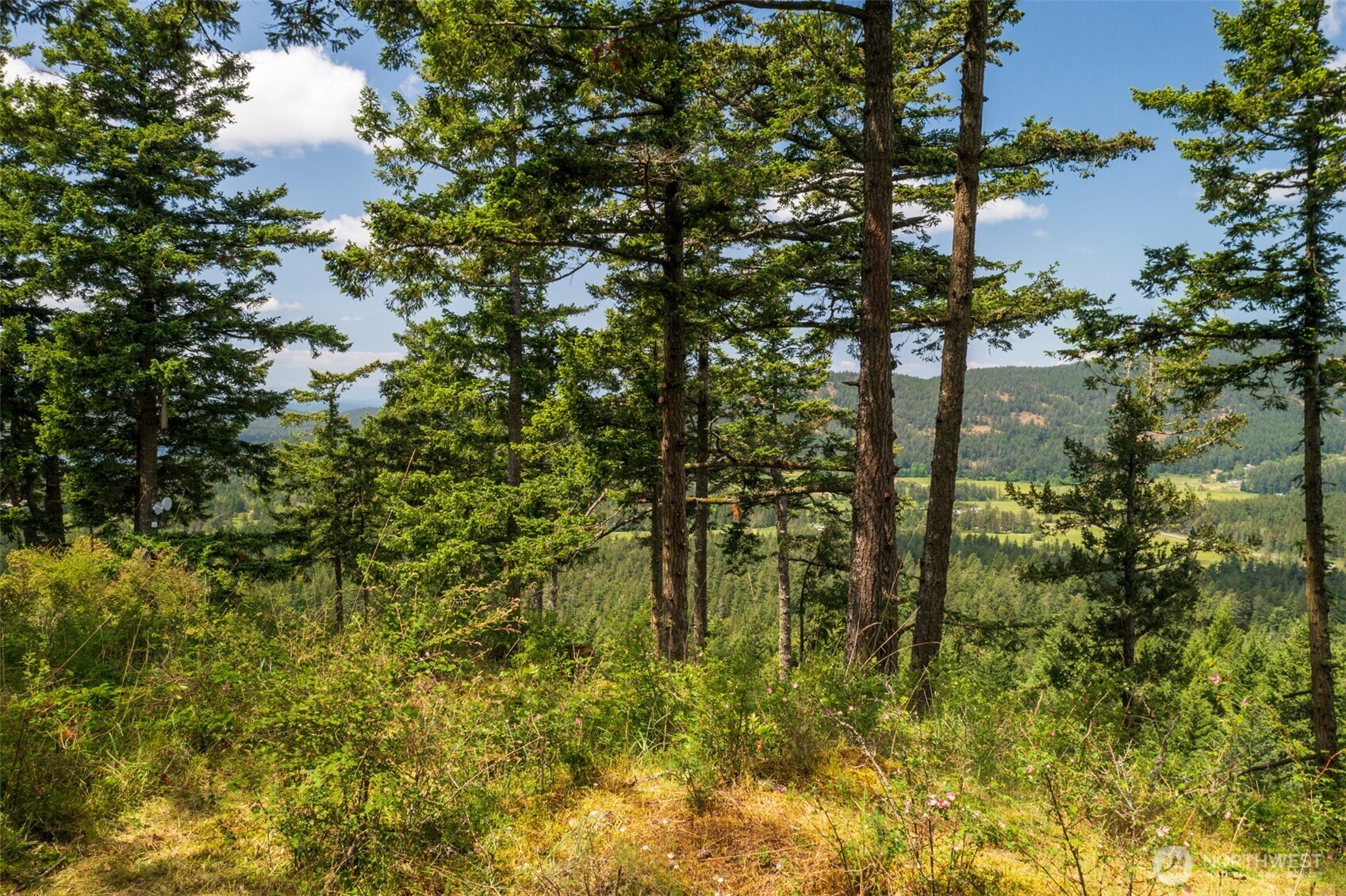 1700 Mountain Crest Property Photo 36