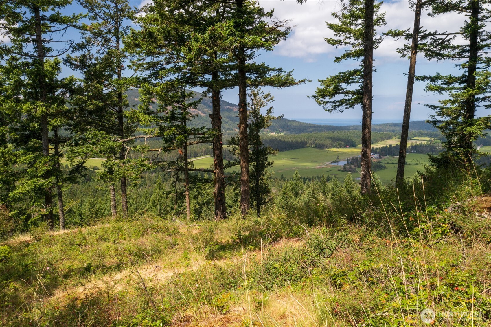 1700 Mountain Crest Property Photo 37