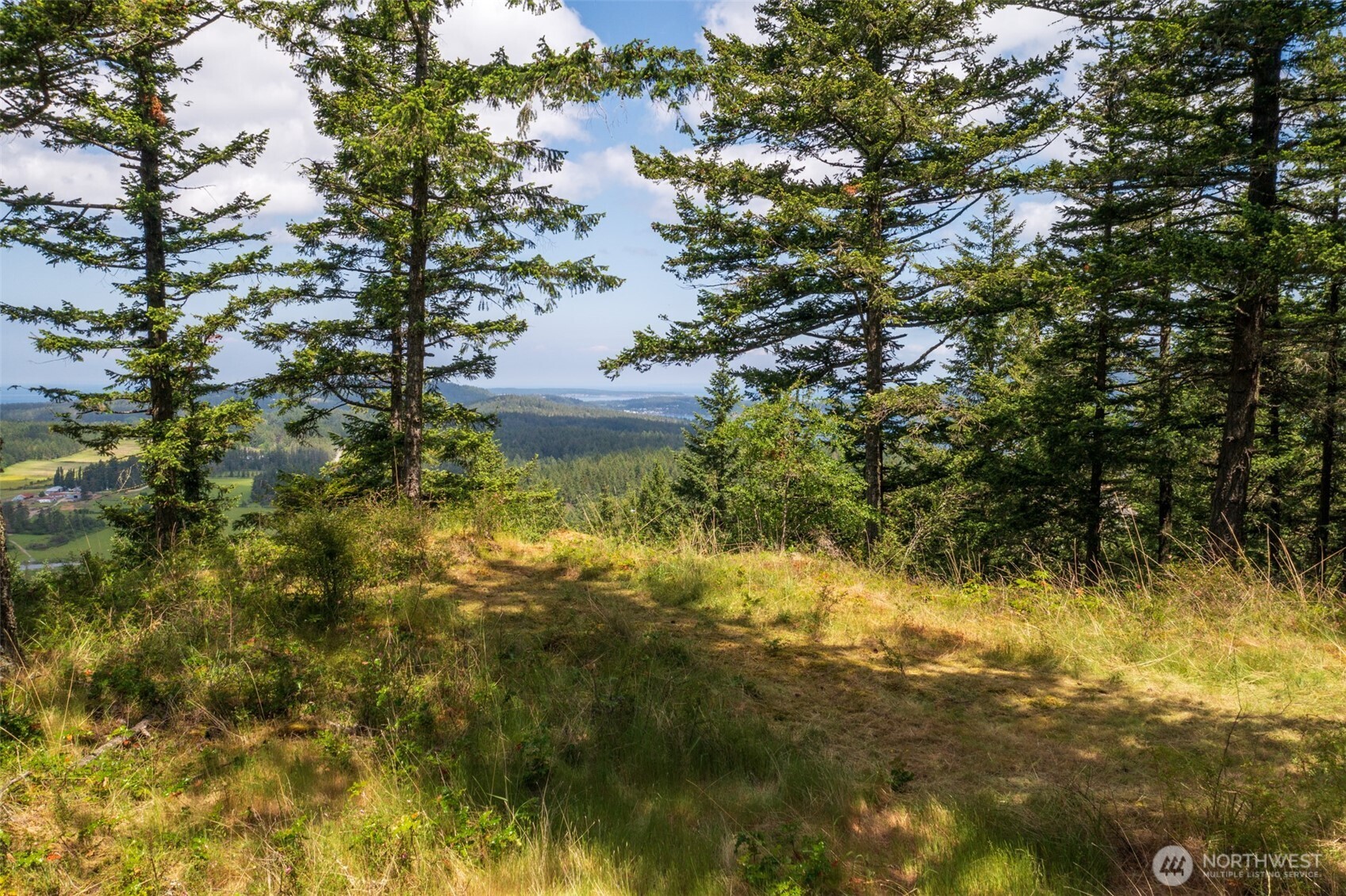 1700 Mountain Crest Property Photo 38