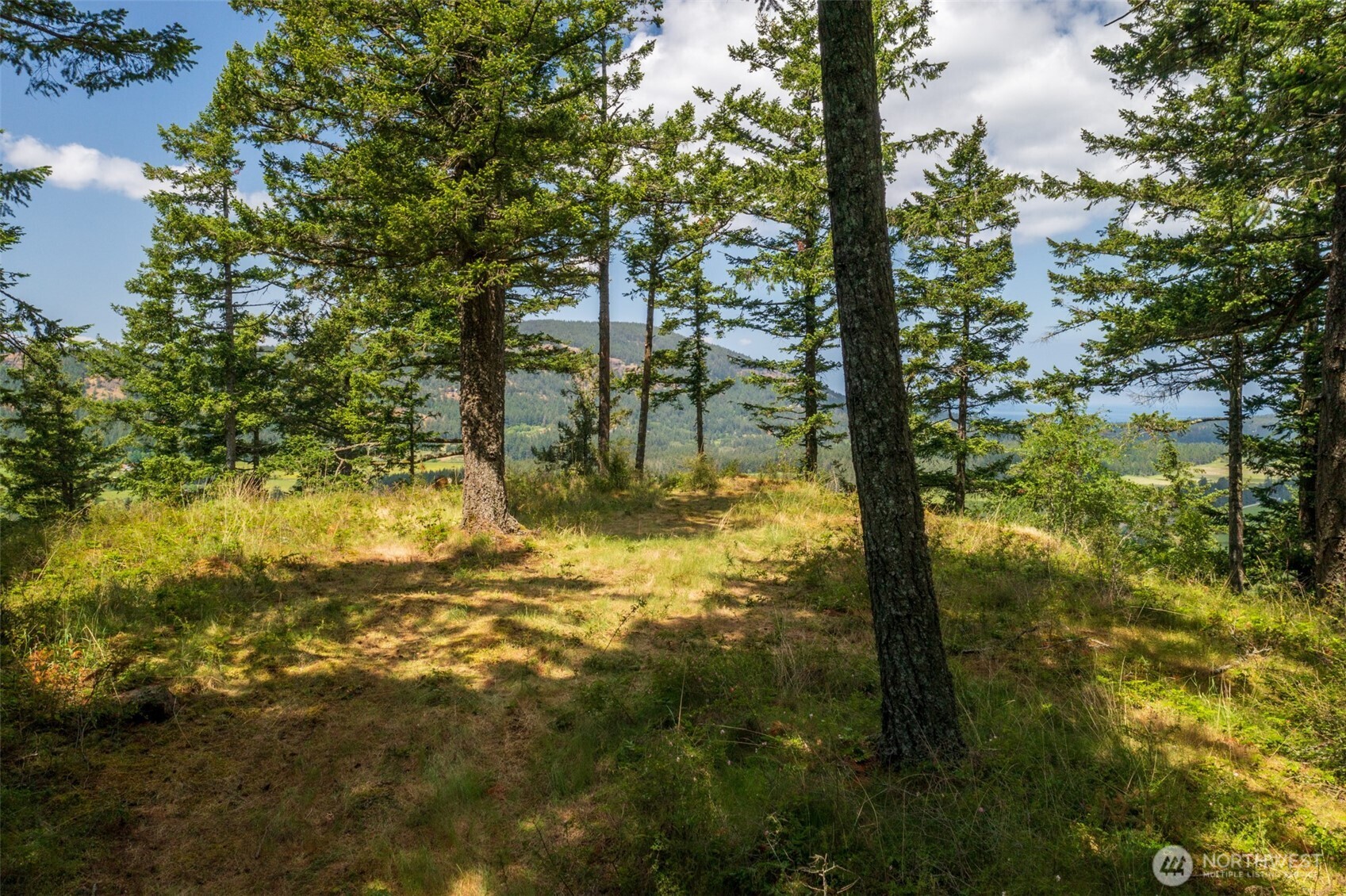 1700 Mountain Crest Property Photo 39