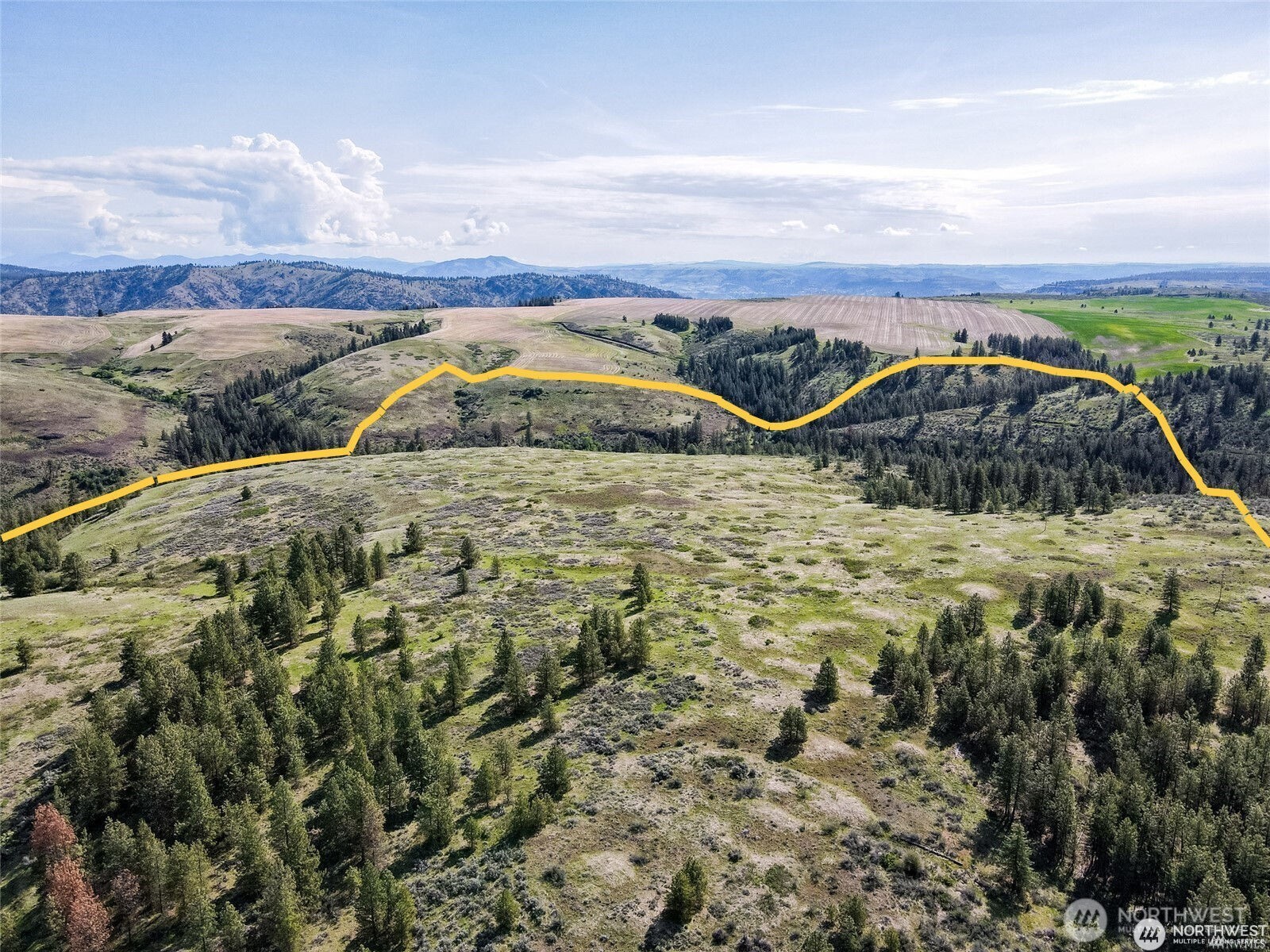 39297 Halverson Canyon Road Property Photo 22