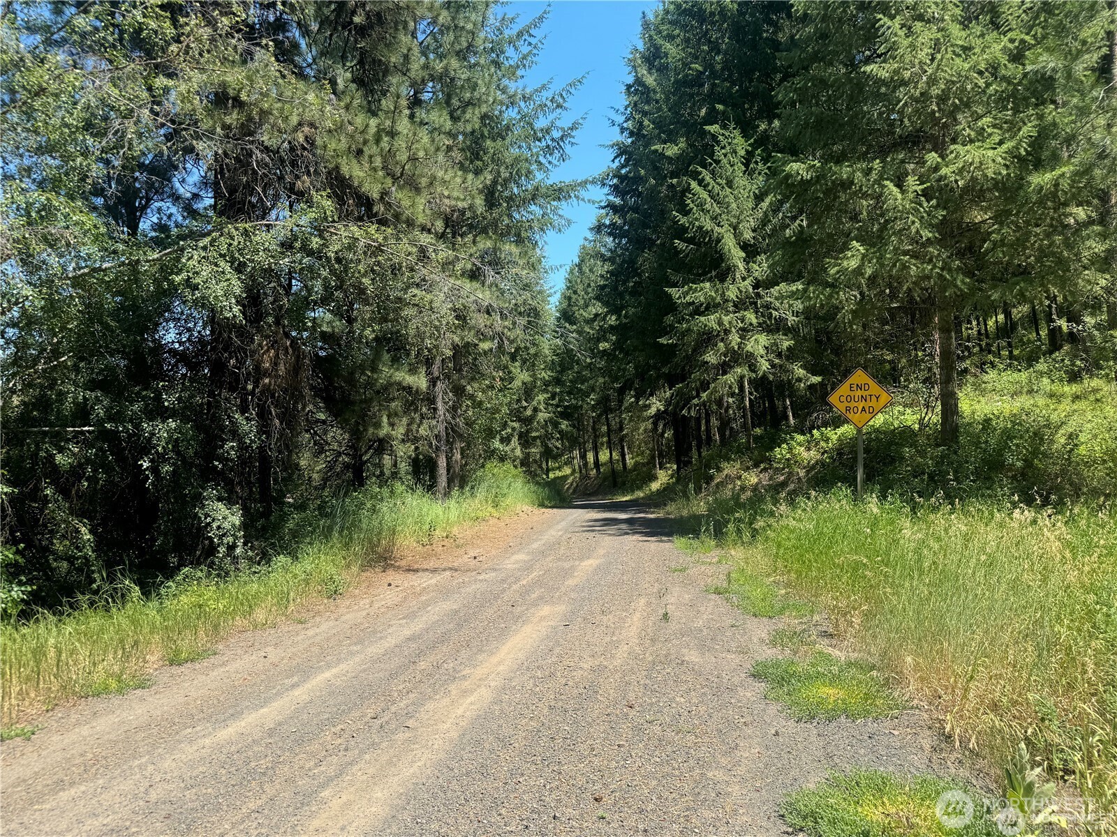 39297 Halverson Canyon Road Property Photo 25