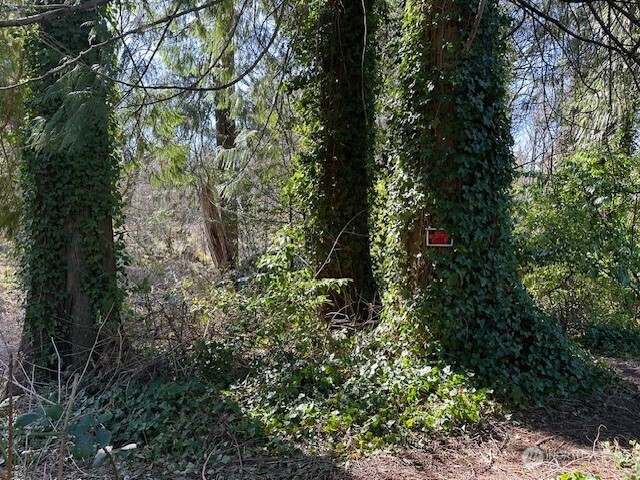 8537 State Hwy 303 Property Photo 2