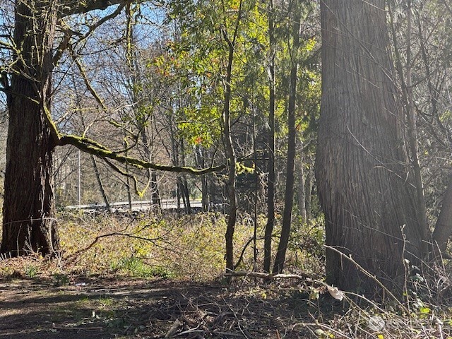 8537 State Hwy 303 Property Photo 3