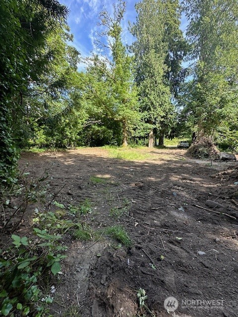8537 State Hwy 303 Property Photo 5