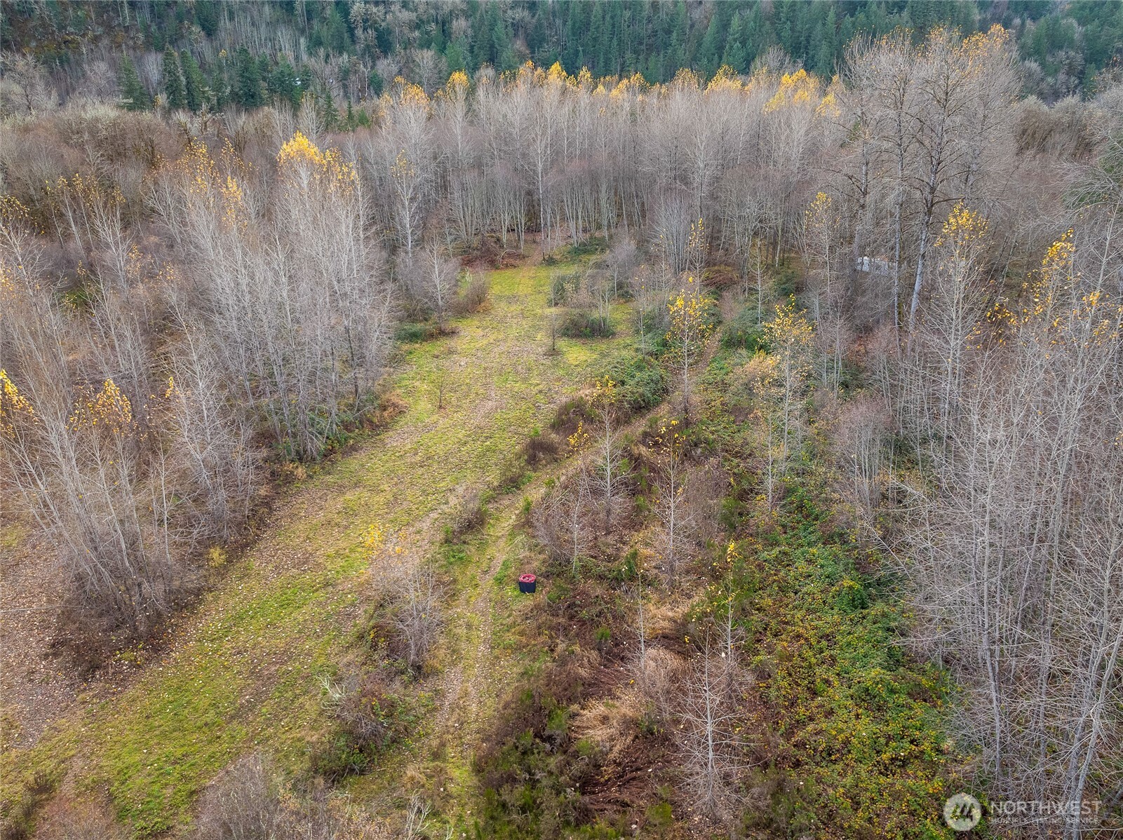 157 Kehoe Road Property Photo 10