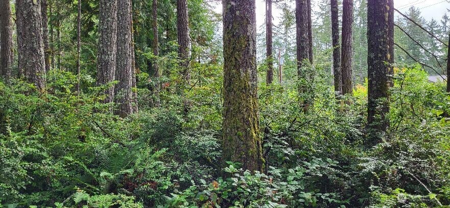 Camp Union Real Estate Listings Main Image