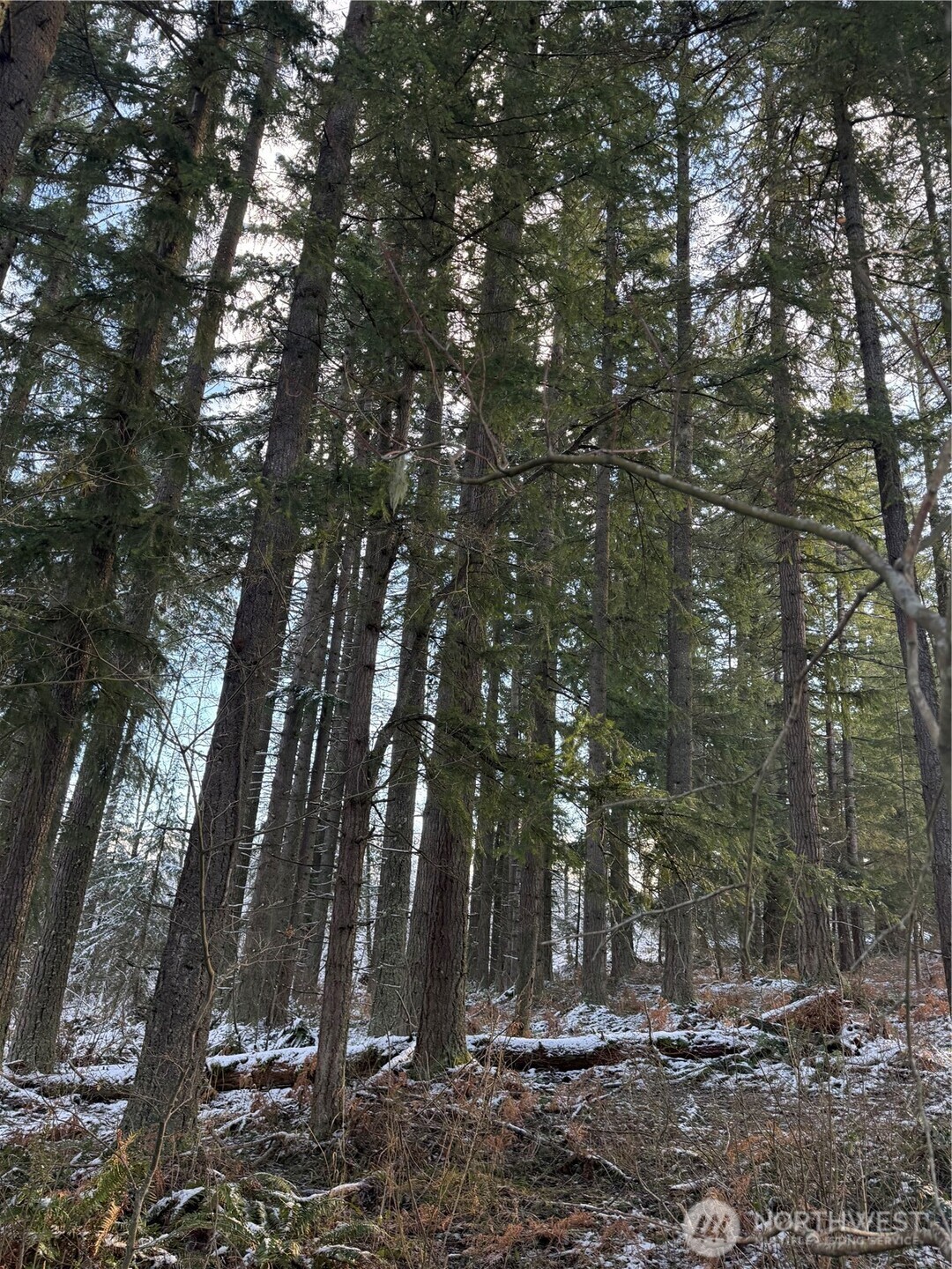 49321 Pilgrim Ext Road Property Photo 2