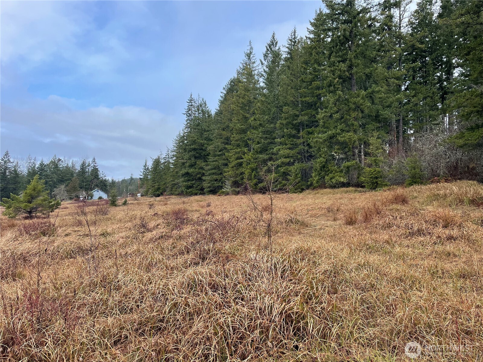 49321 Pilgrim Ext Road Property Photo 5