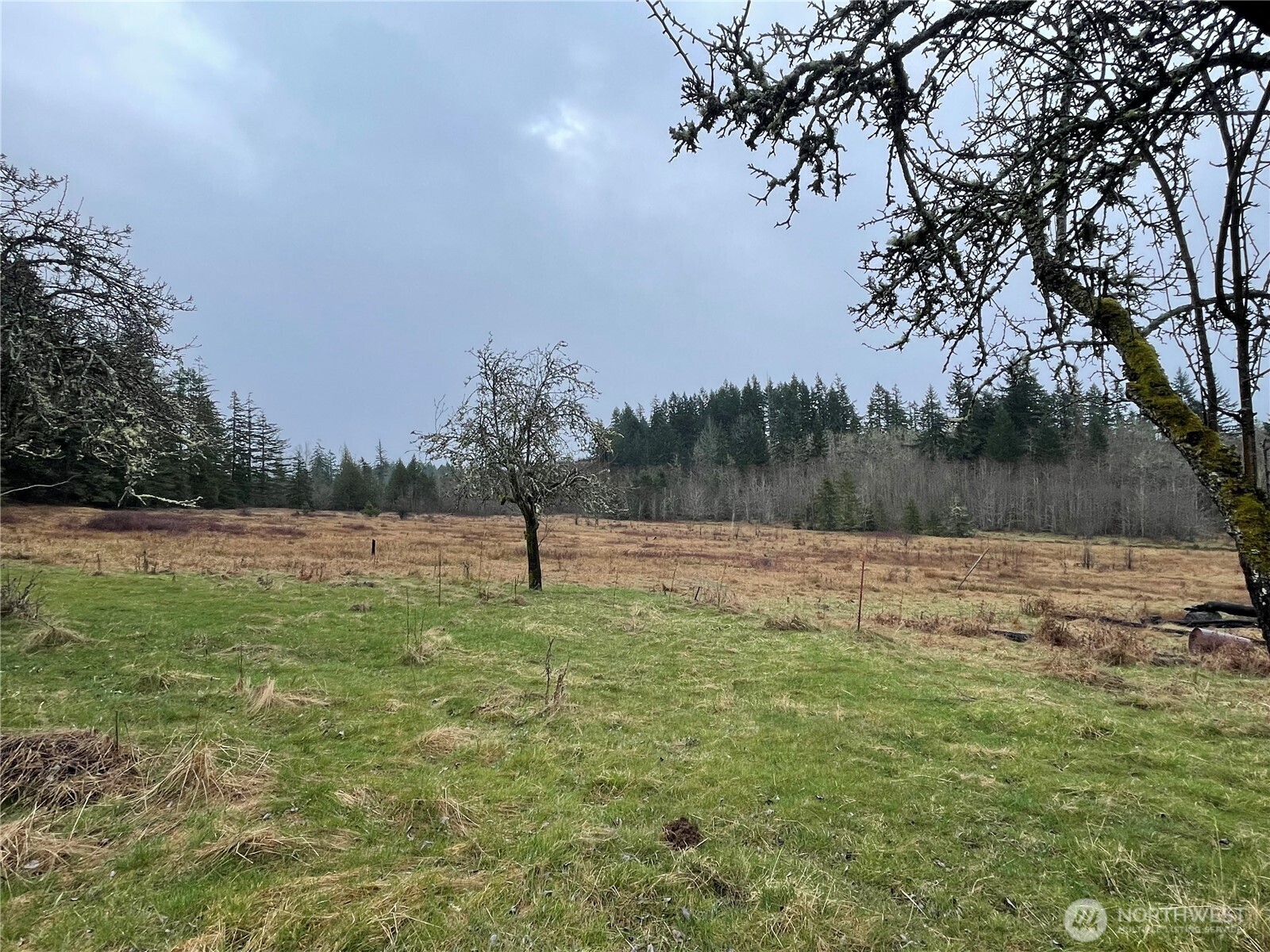 49321 Pilgrim Ext Road Property Photo 6
