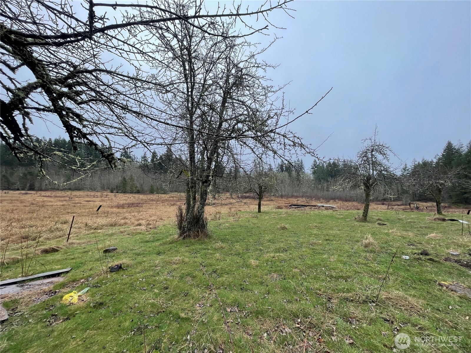 49321 Pilgrim Ext Road Property Photo 10