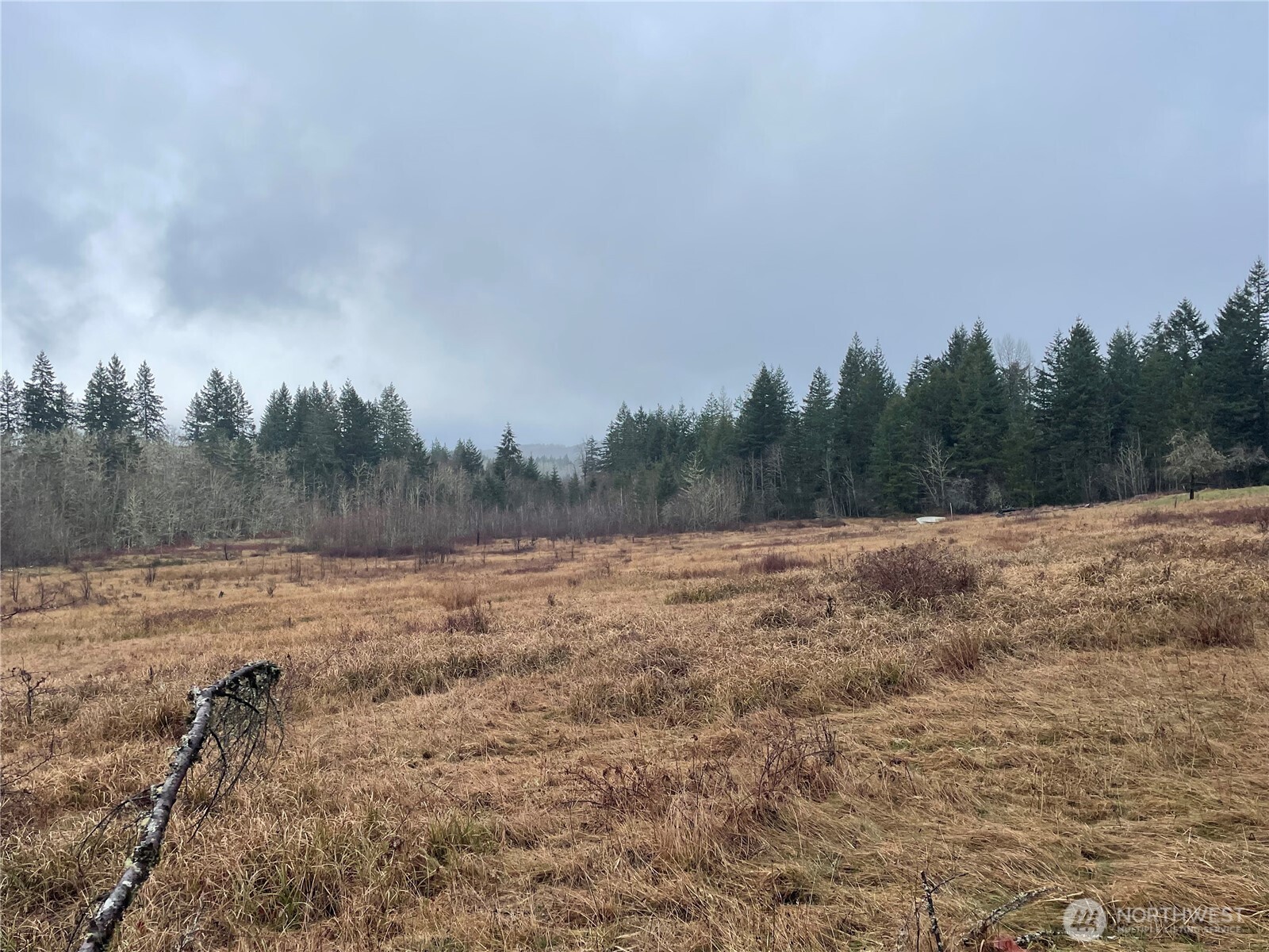 49321 Pilgrim Ext Road Property Photo 12