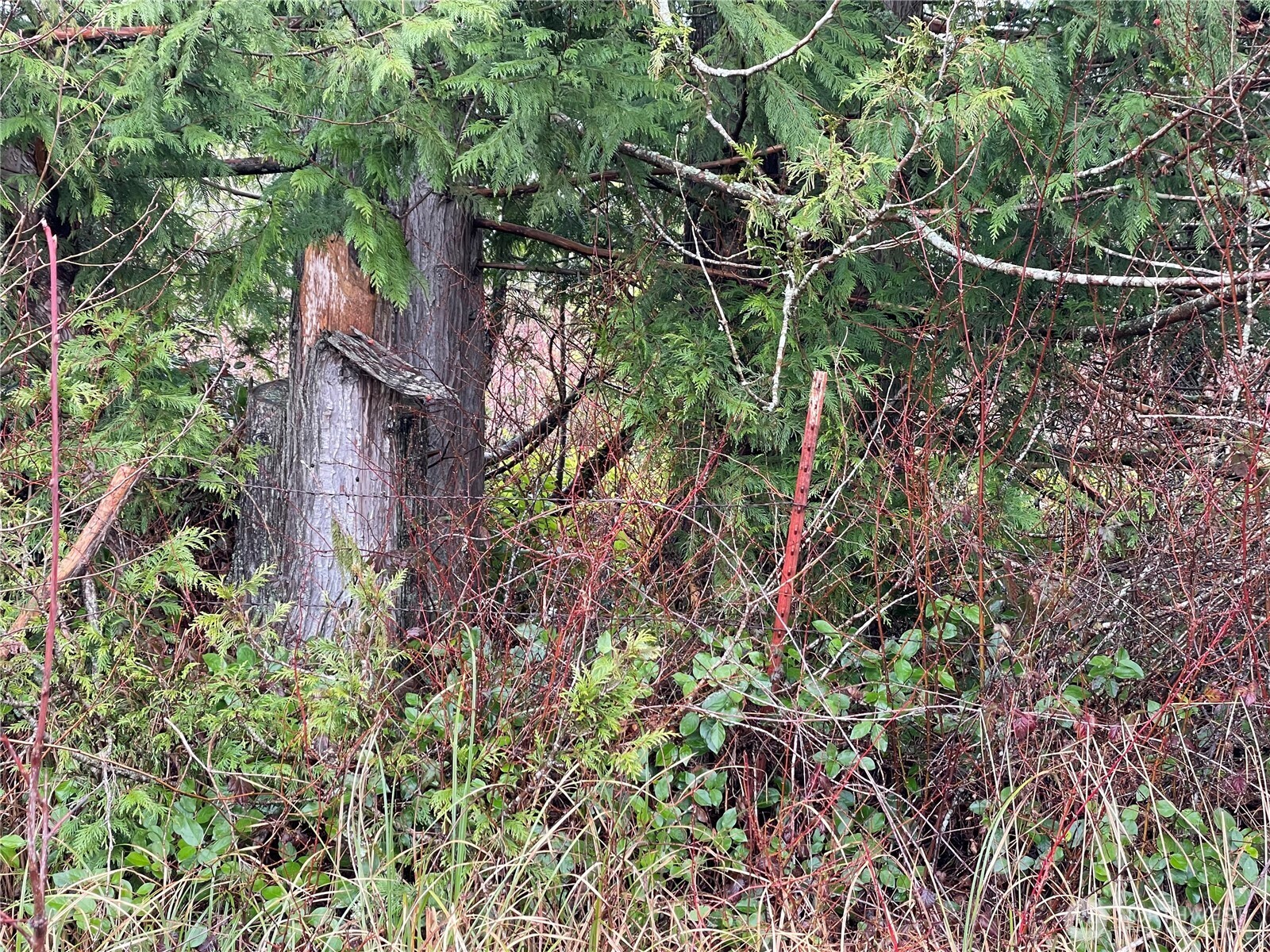 49321 Pilgrim Ext Road Property Photo 13