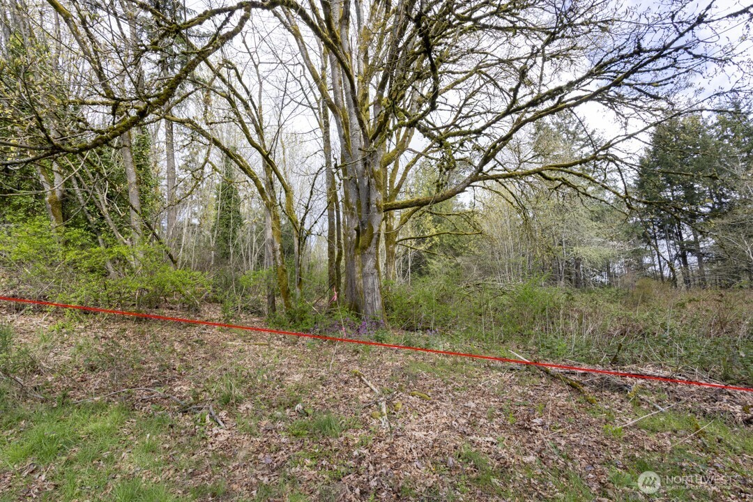 0 Clear Creek Road Property Photo 6