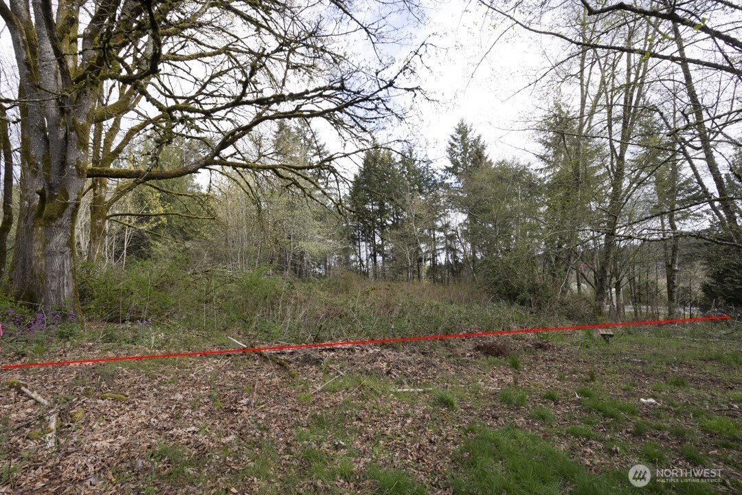0 Clear Creek Road Property Photo 7