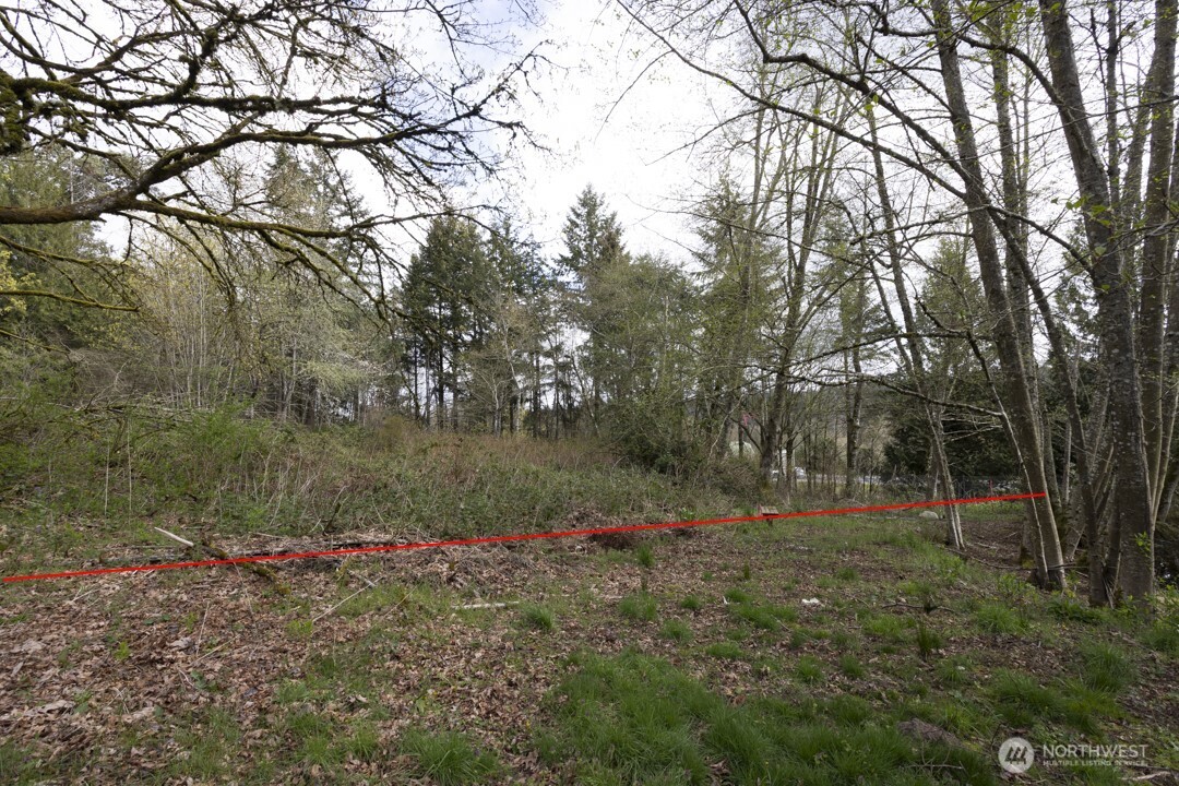 0 Clear Creek Road Property Photo 8