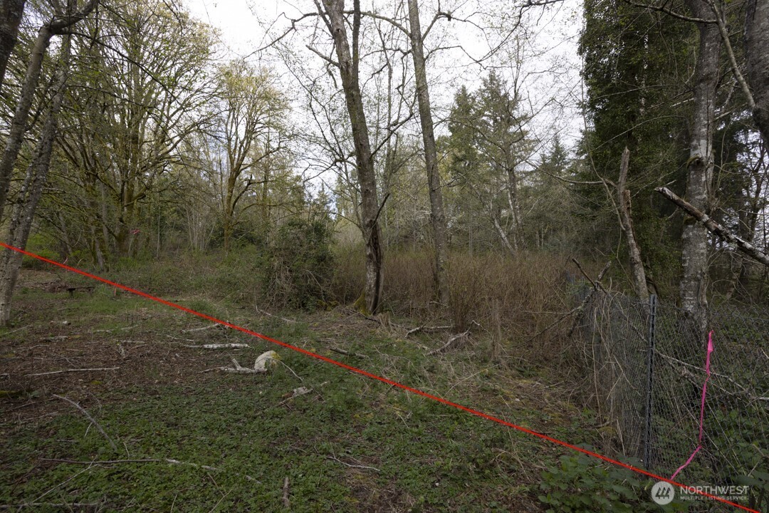 0 Clear Creek Road Property Photo 9