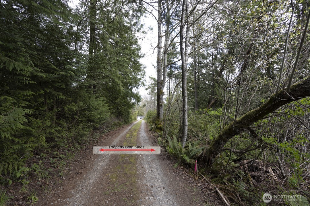 0 Clear Creek Road Property Photo 12
