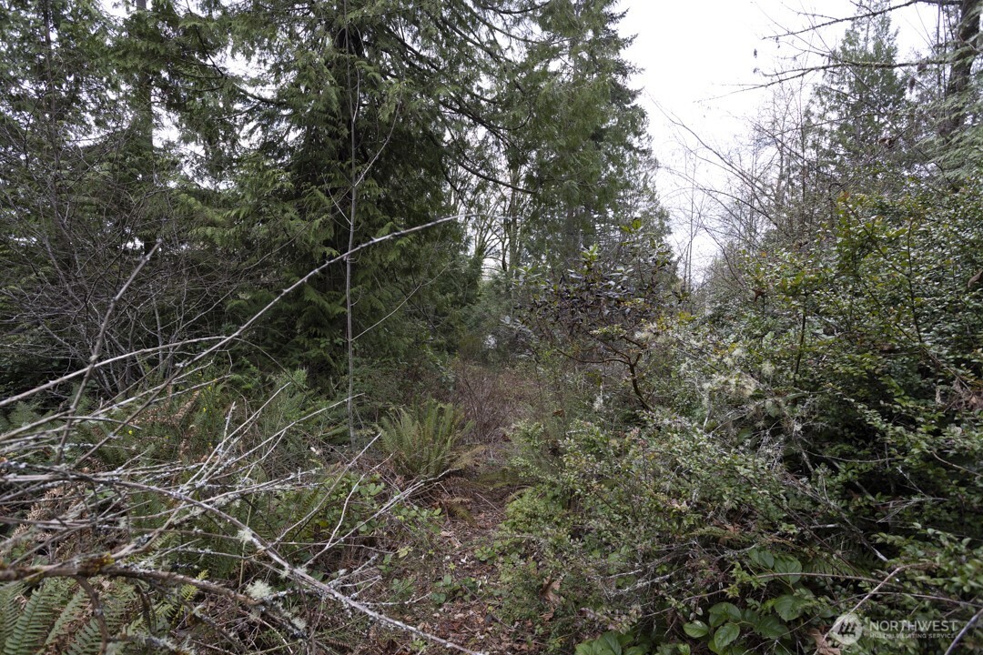 0 Clear Creek Road Property Photo 14