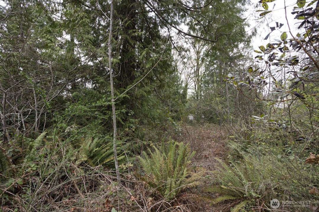 0 Clear Creek Road Property Photo 15