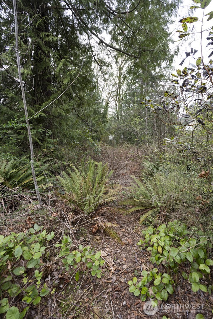 0 Clear Creek Road Property Photo 16