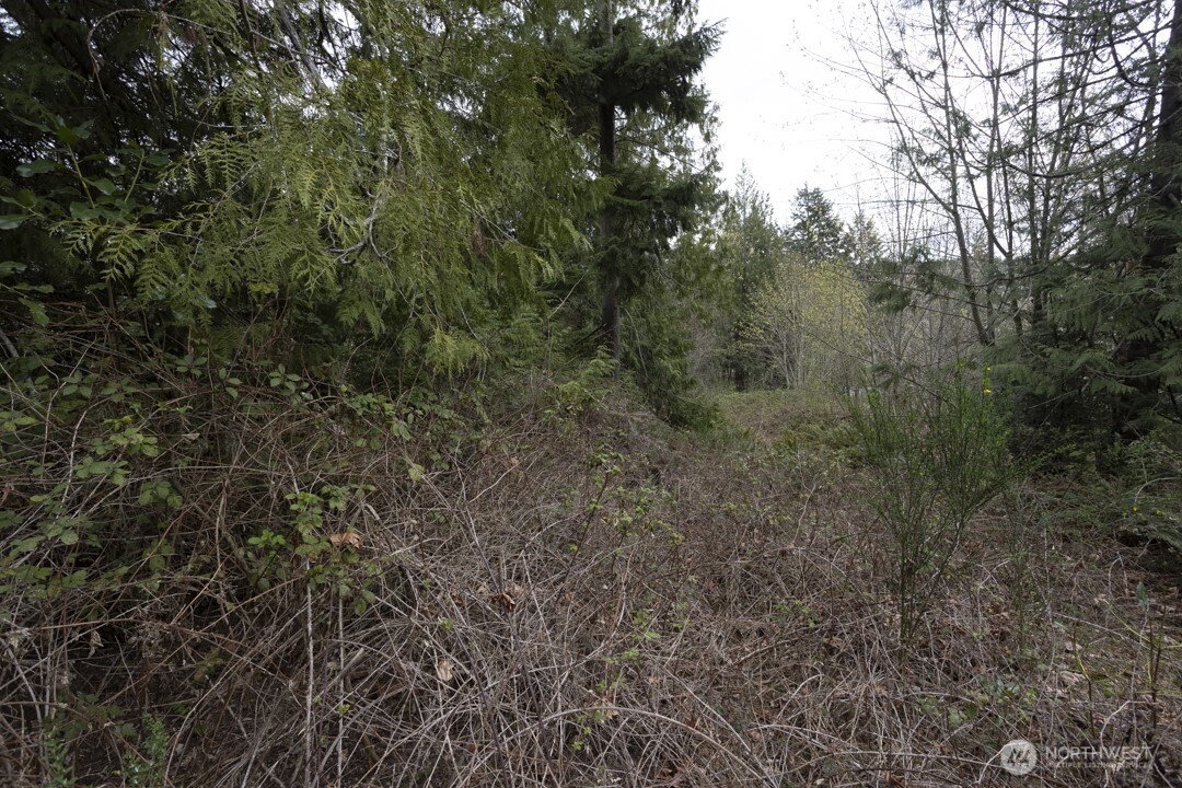 0 Clear Creek Road Property Photo 17