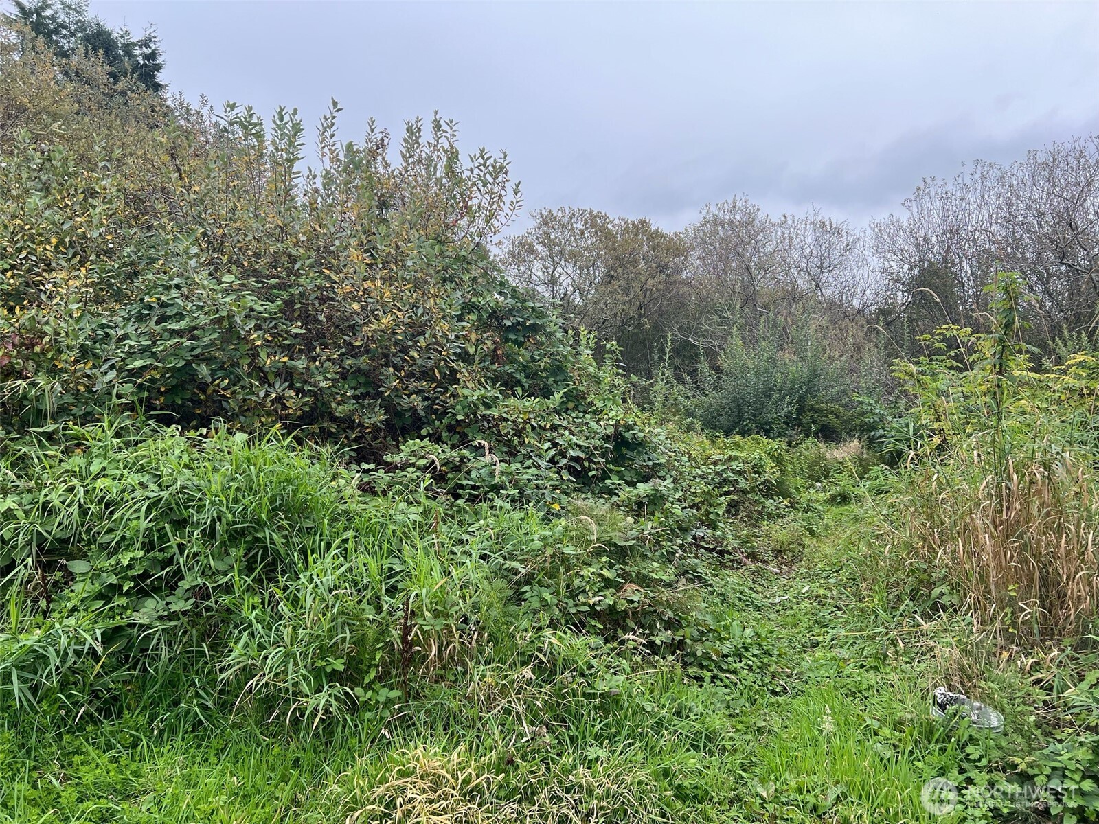 14 Xx W Huntley Street Property Photo