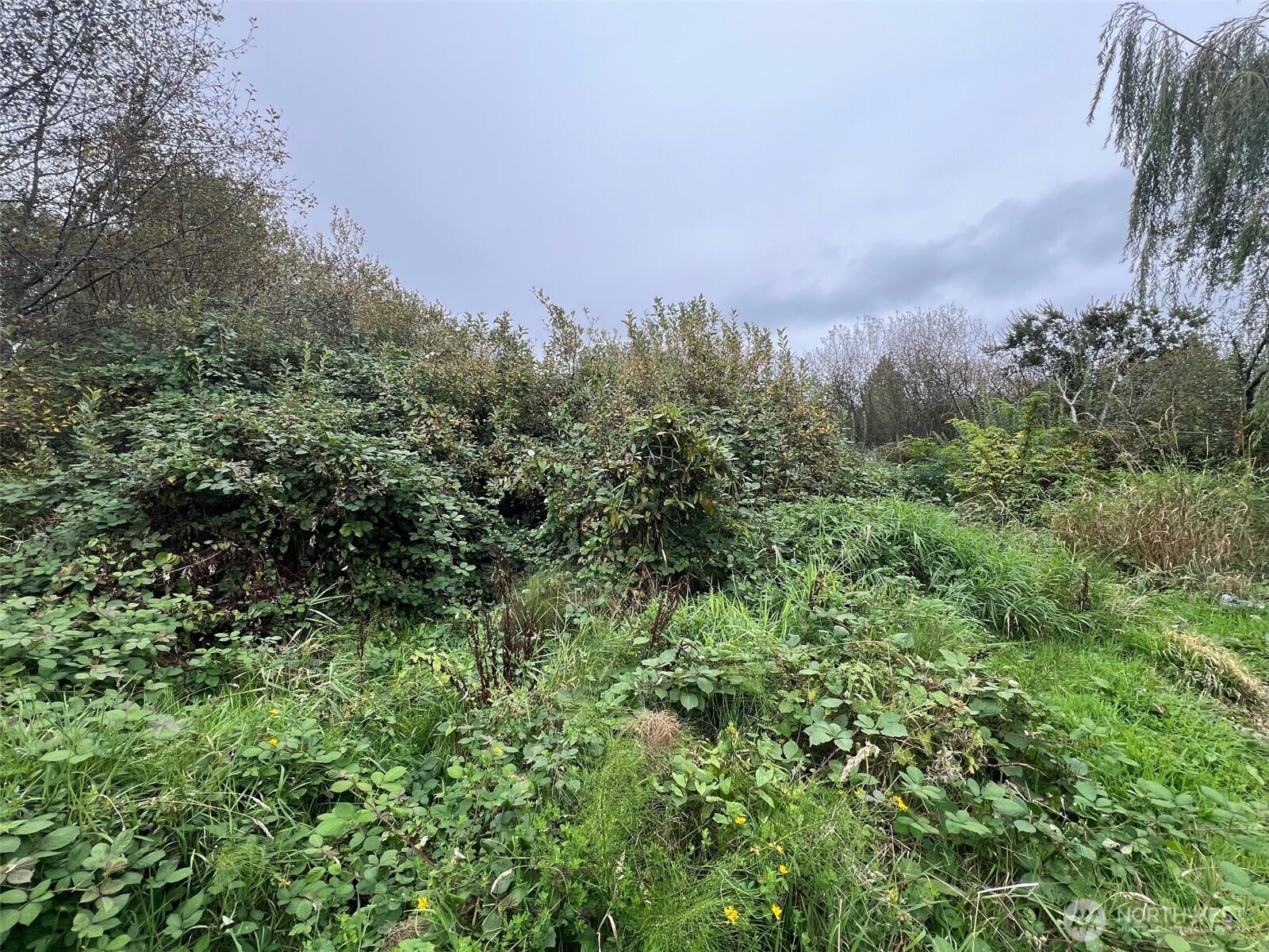 14 Xx W Huntley Street Property Photo 2