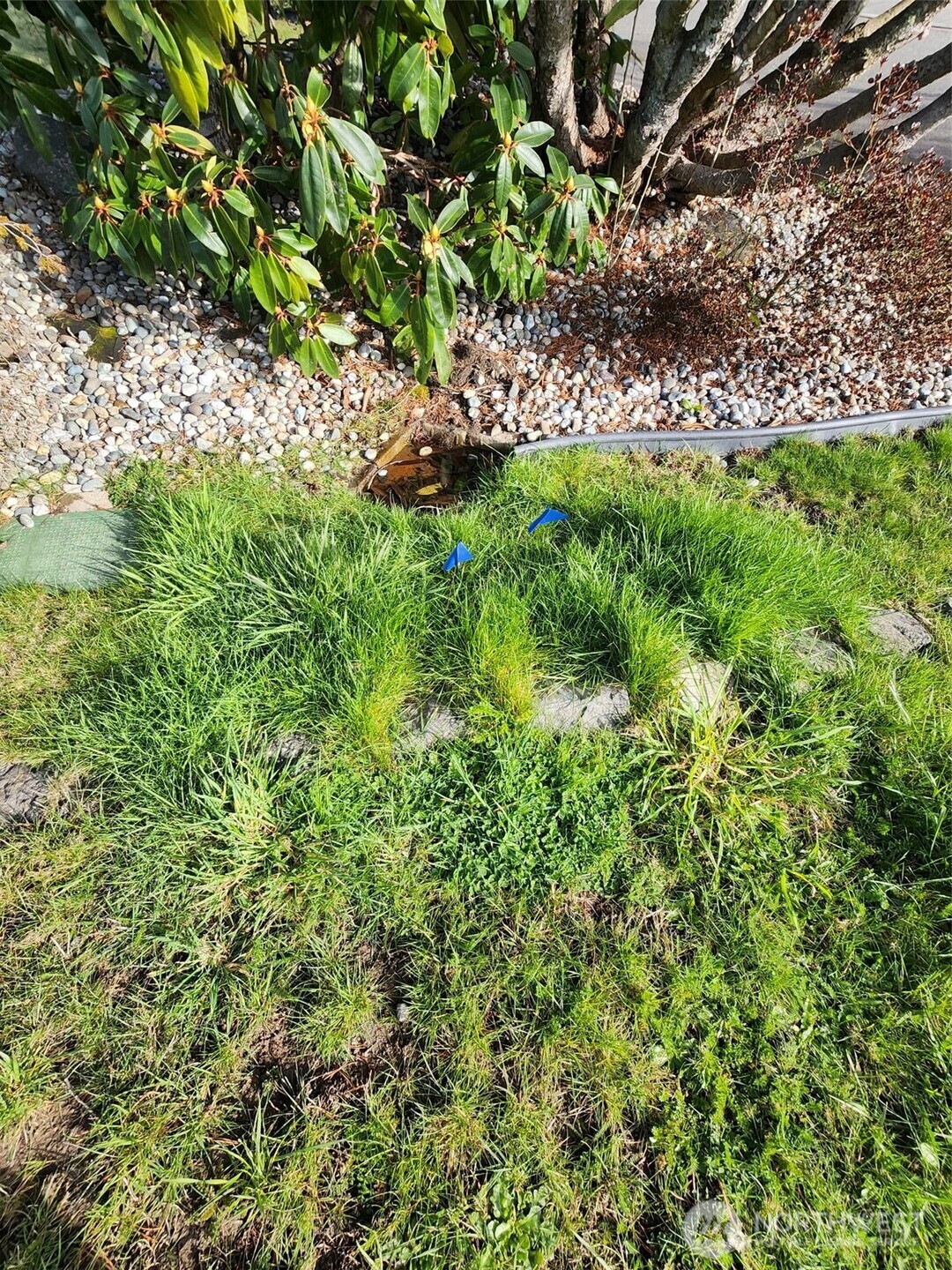 3023 Pawnee Drive Property Photo 9