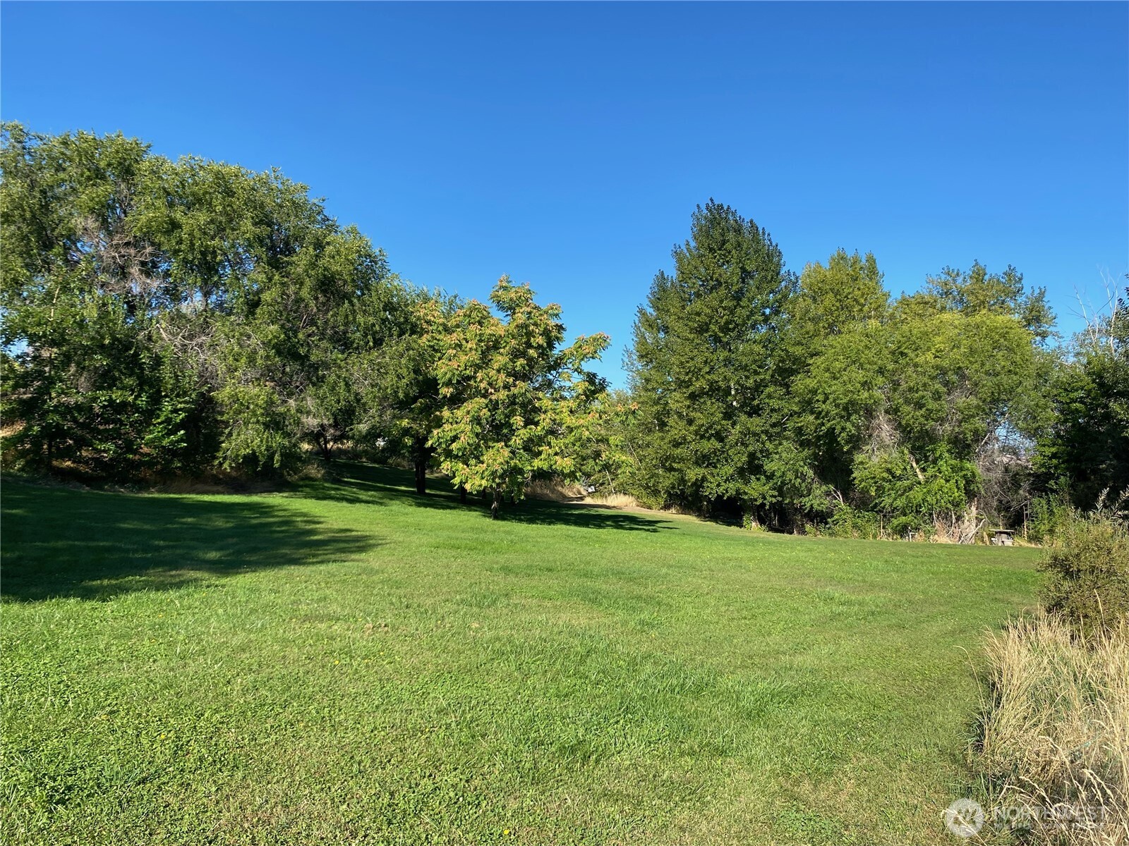 1811 Eastmont Avenue Property Photo 4