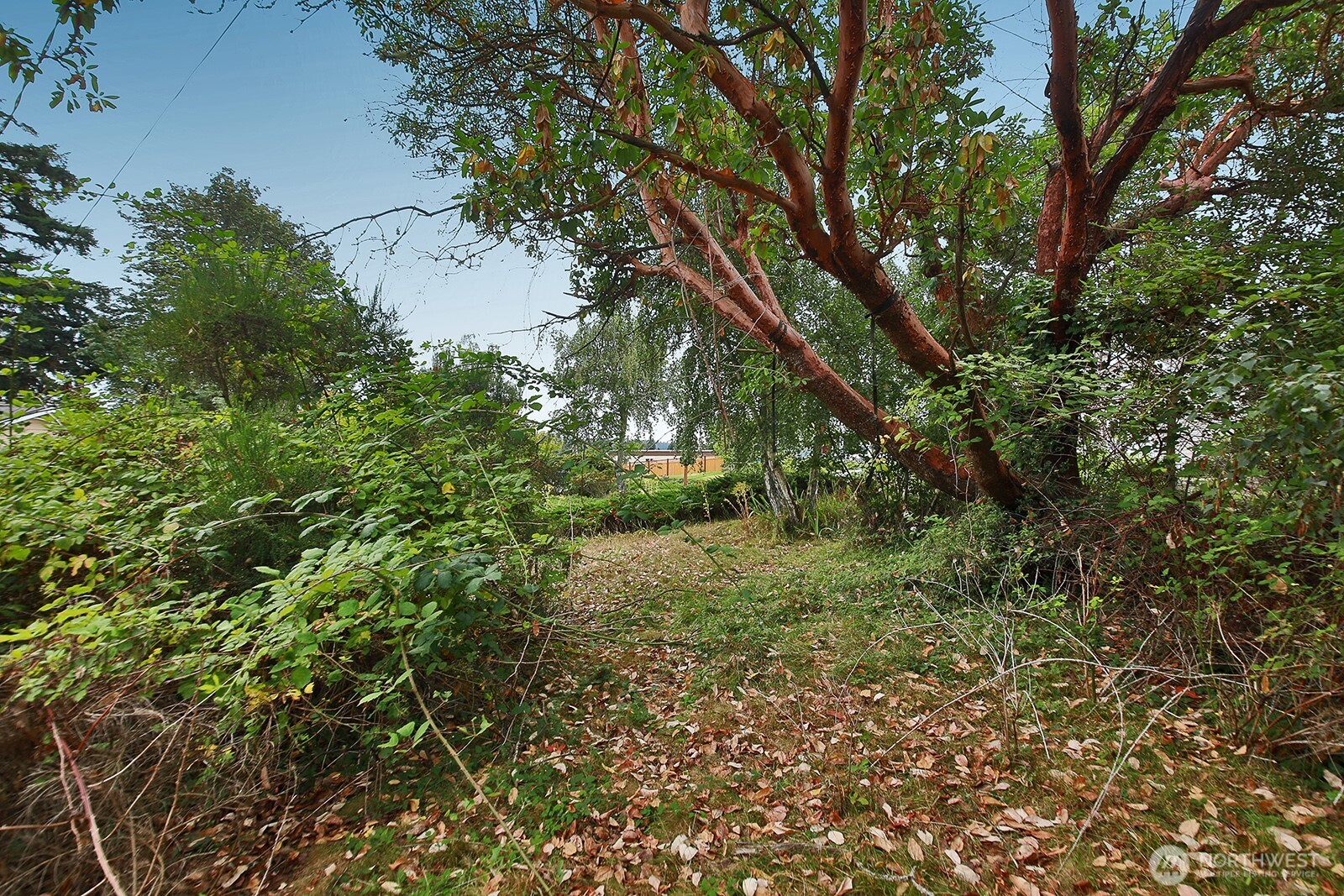 0 Nhn S Ralph Road Property Photo 4