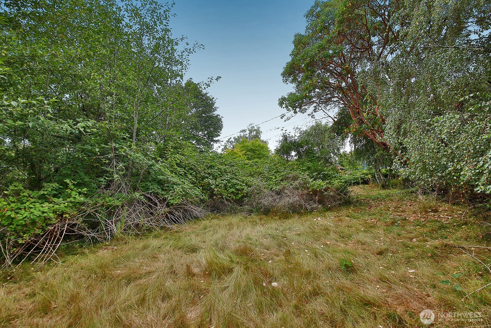 0 Nhn S Ralph Road Property Photo 5