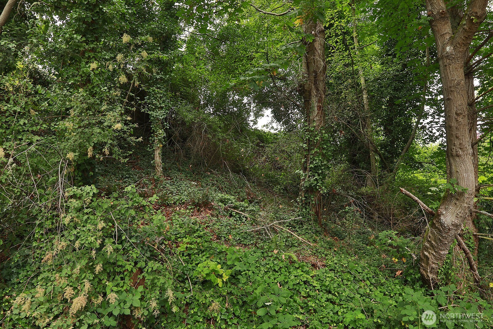 0 Nhn S Ralph Road Property Photo 9
