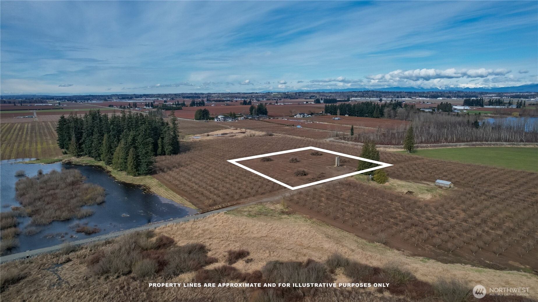 9919 Holmquist Road Property Photo 10