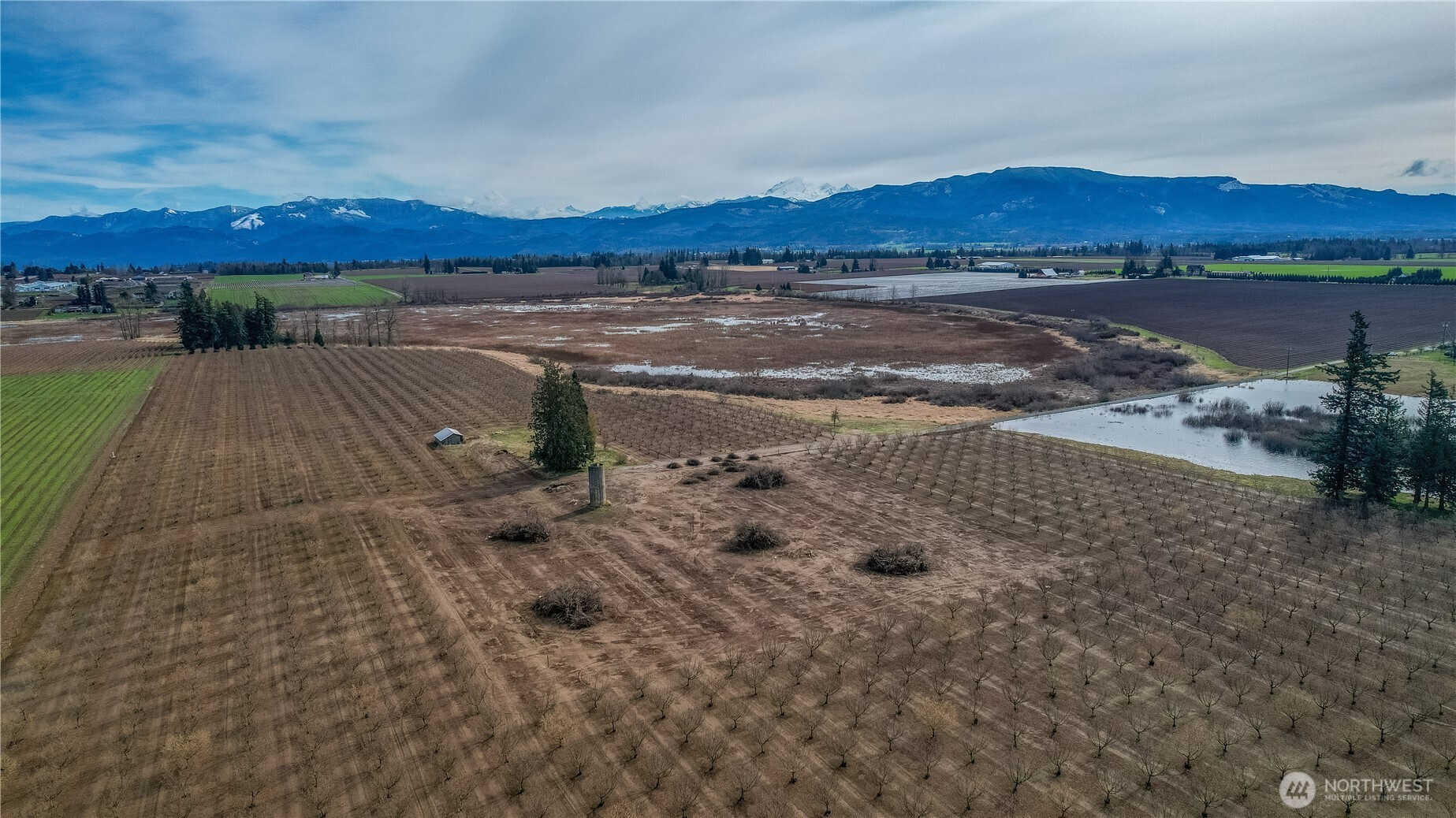 9919 Holmquist Road Property Photo 11