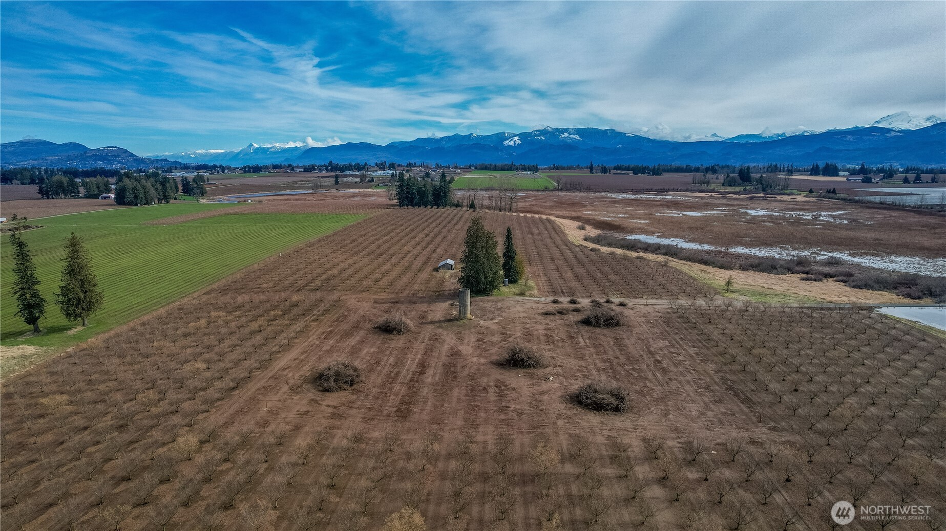 9919 Holmquist Road Property Photo 12