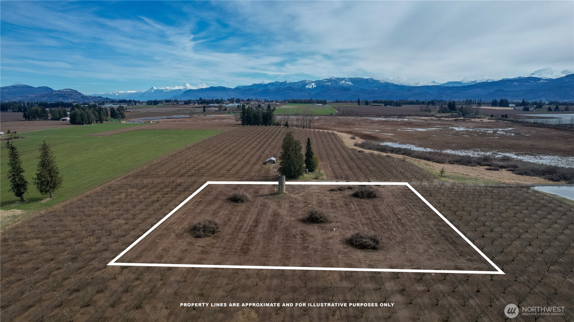 9919 Holmquist Road Property Photo 13