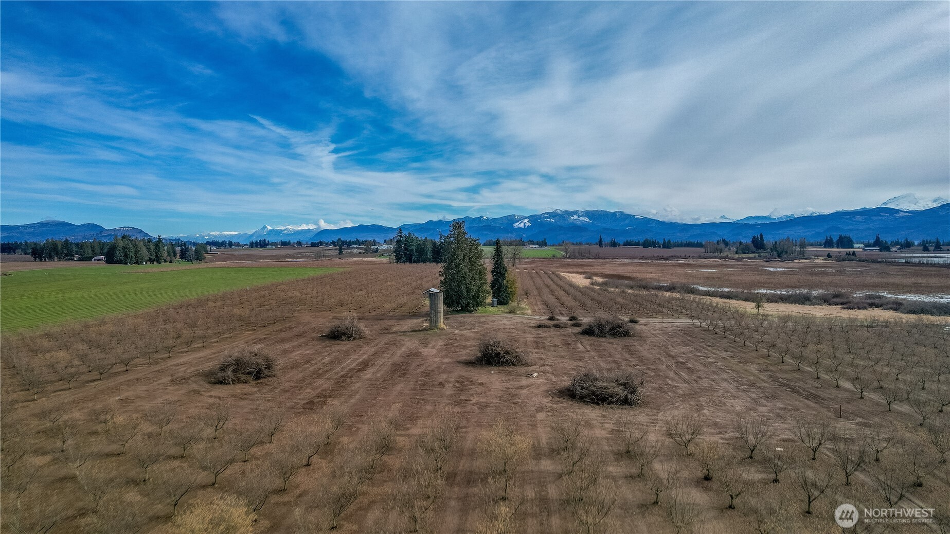 9919 Holmquist Road Property Photo 14